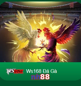 nh88